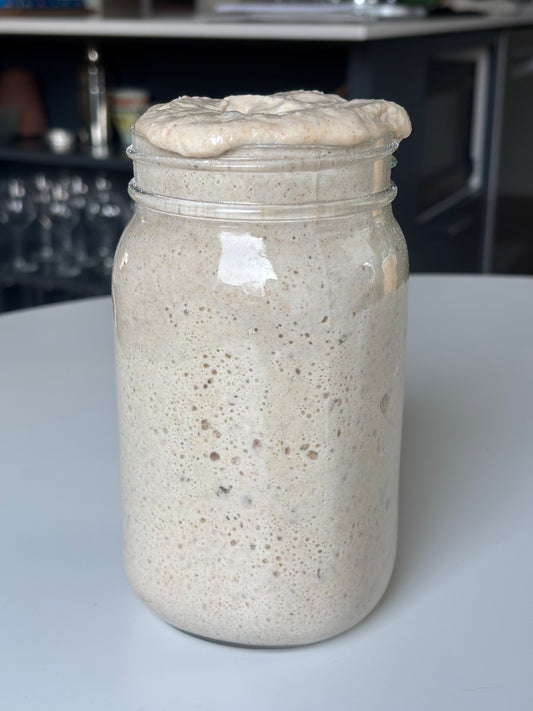 Organic sourdough starter (active)